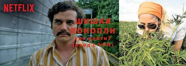 гидра Киреевск